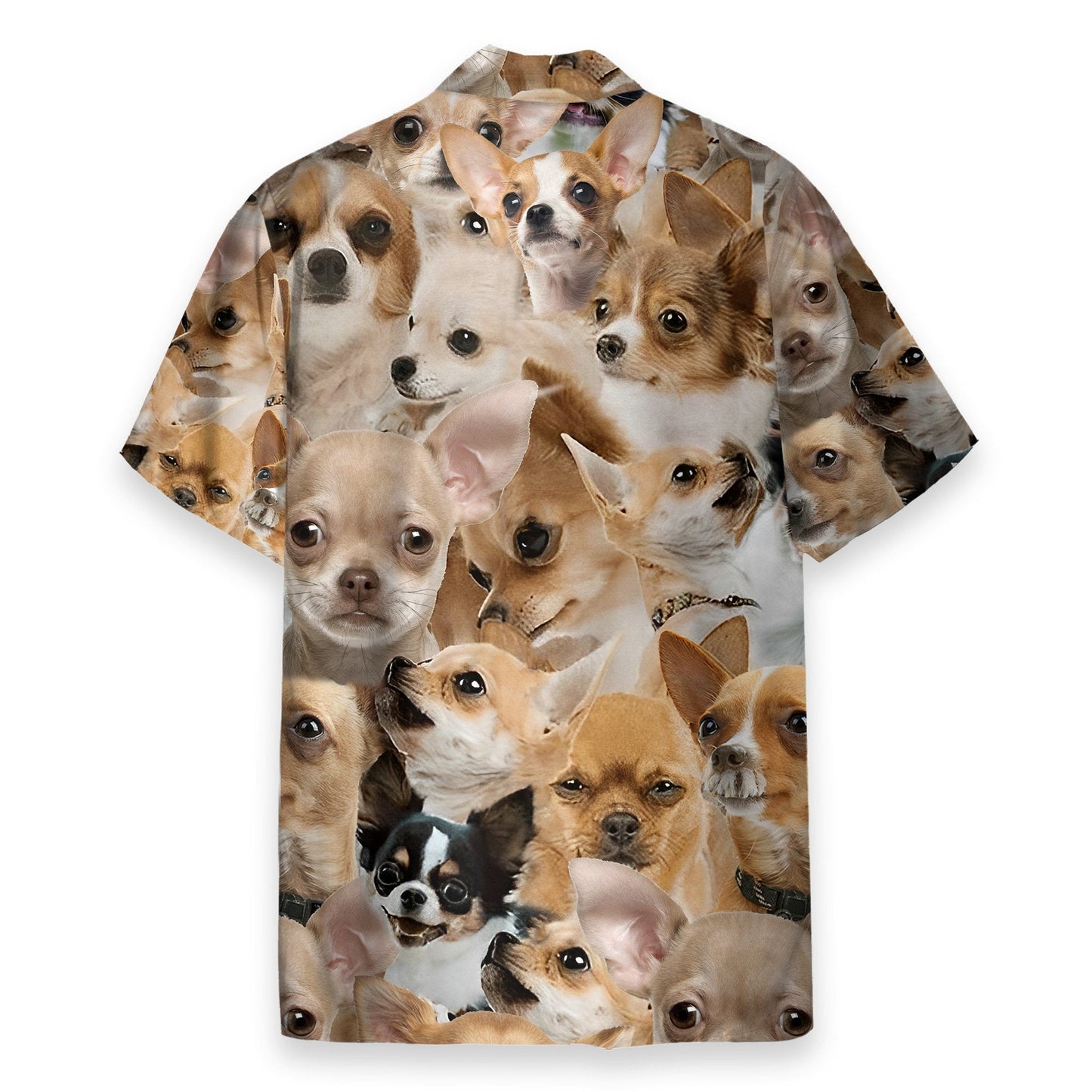 Chihuahua Awesome Funny Button's Up Shirts - Hawaiian Shirt