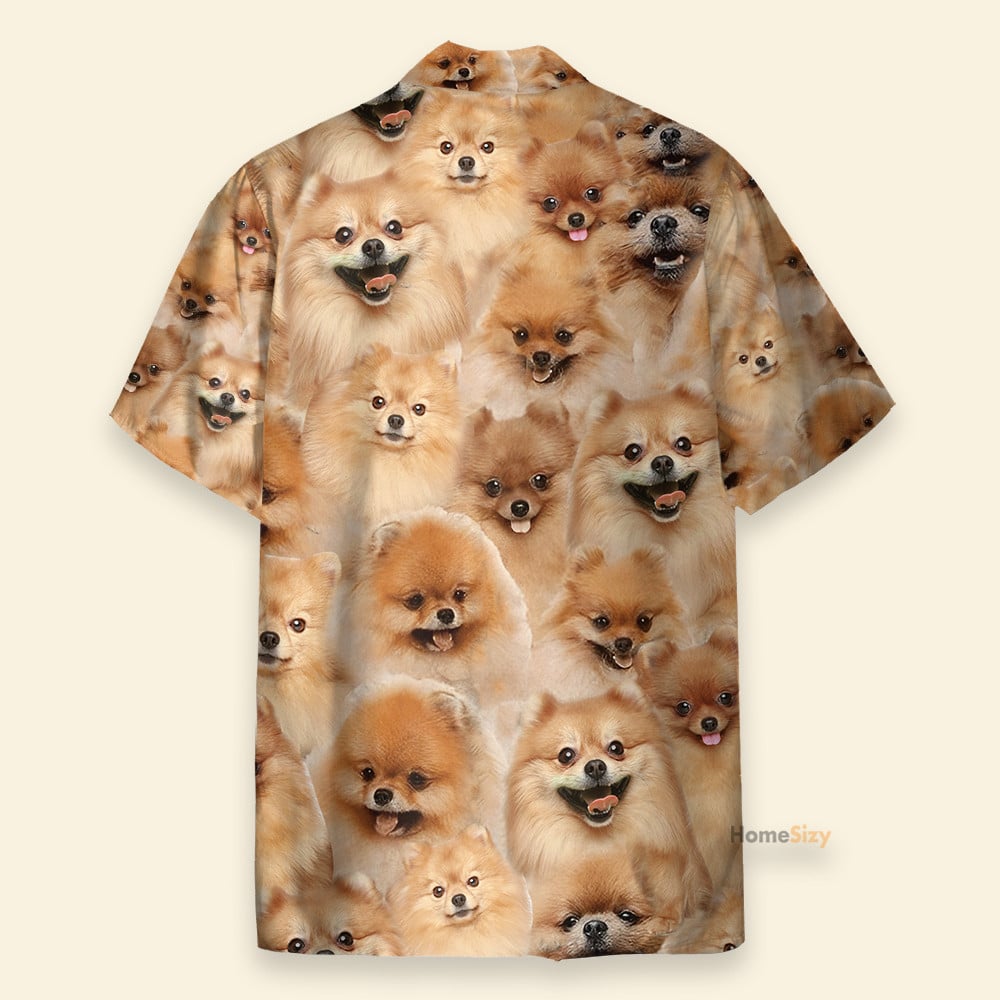 Pomeranian Funny Button's Up Shirts - Hawaiian Shirt