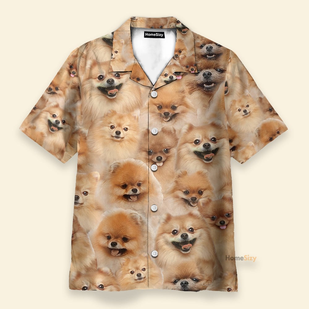 Pomeranian Funny Button's Up Shirts - Hawaiian Shirt