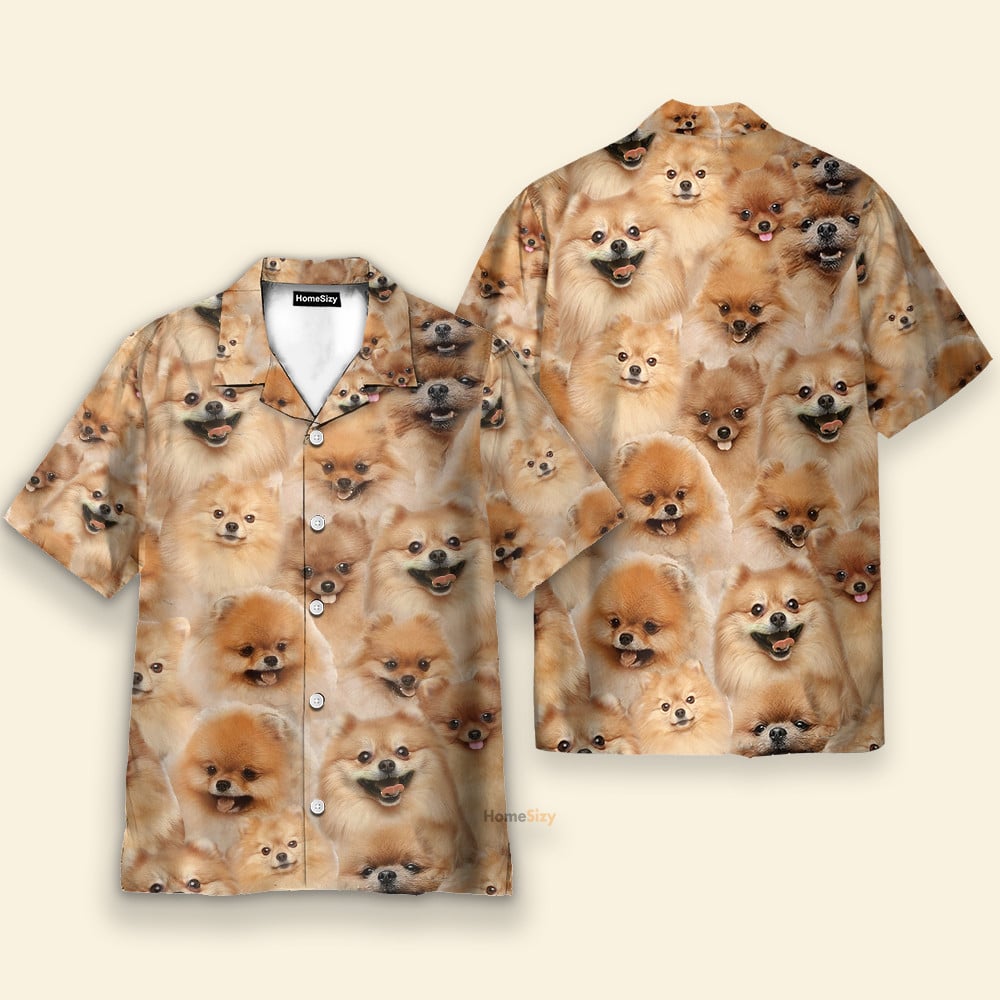 Pomeranian Funny Button's Up Shirts - Hawaiian Shirt